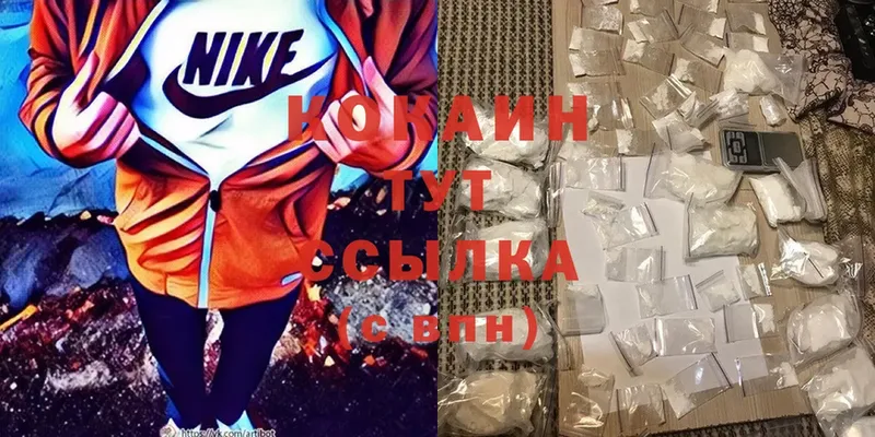 ссылка на мегу вход  Оха  КОКАИН FishScale 