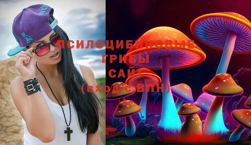 Галлюциногенные грибы MAGIC MUSHROOMS  Оха 