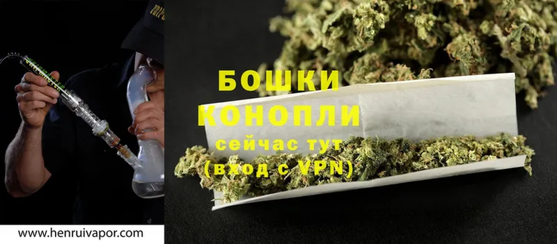 кракен вход  Оха  Бошки Шишки White Widow 